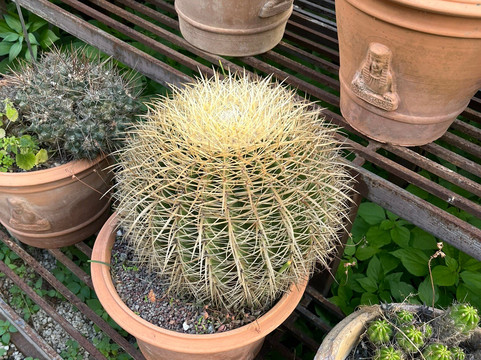 Orto Botanico-巴勒莫必去景点