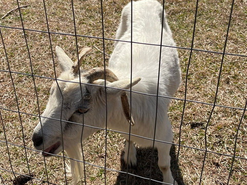 General Coffee State Park-Nicholls必去景点