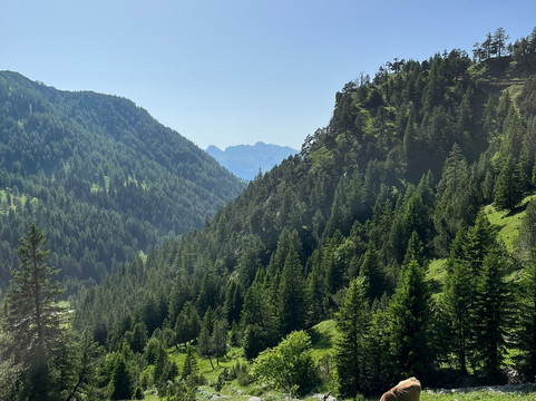 加林娜猎鹰酒店主图