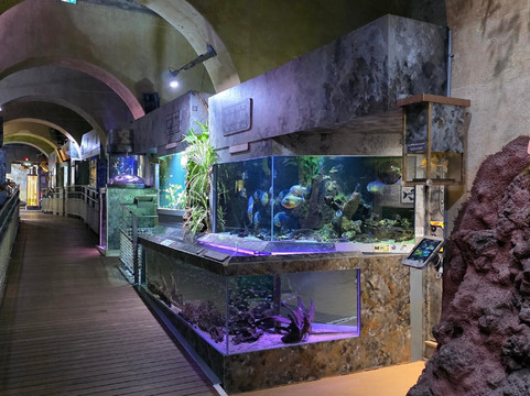 Aquarium du Limousin-利摩日必去景点