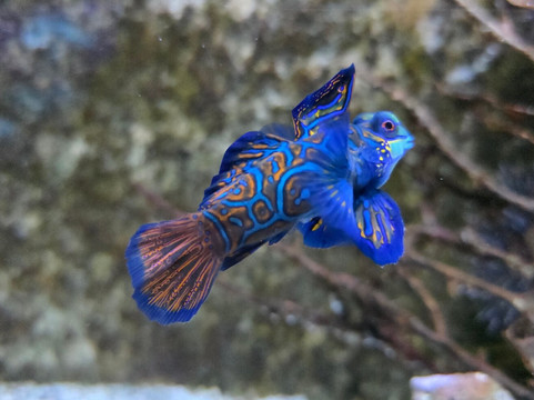 Aquarium du Limousin-利摩日必去景点