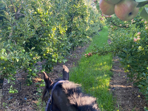 Heaven and Earth Trails-赫曼努斯必去景点