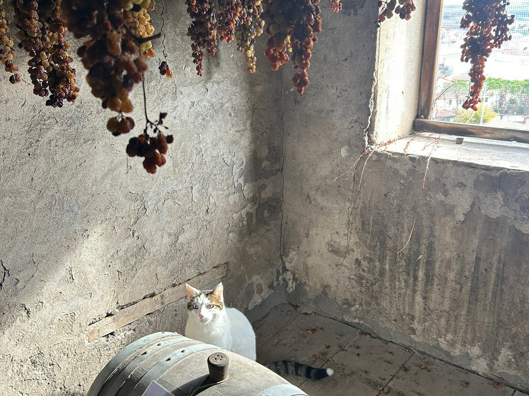 Cantina Giovanni Menti-Gambellara必去景点