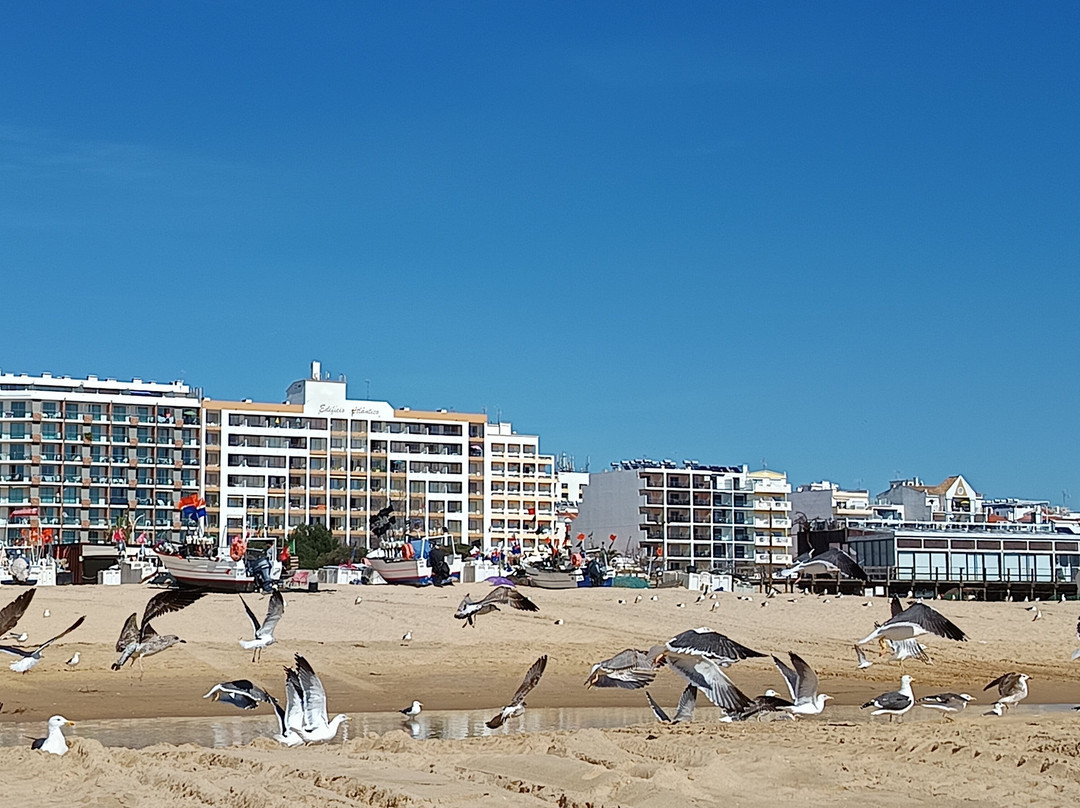 Praia de Monte Gordo-蒙特哥多必去景点