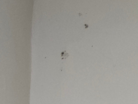 卡尔霍恩速8酒店主图