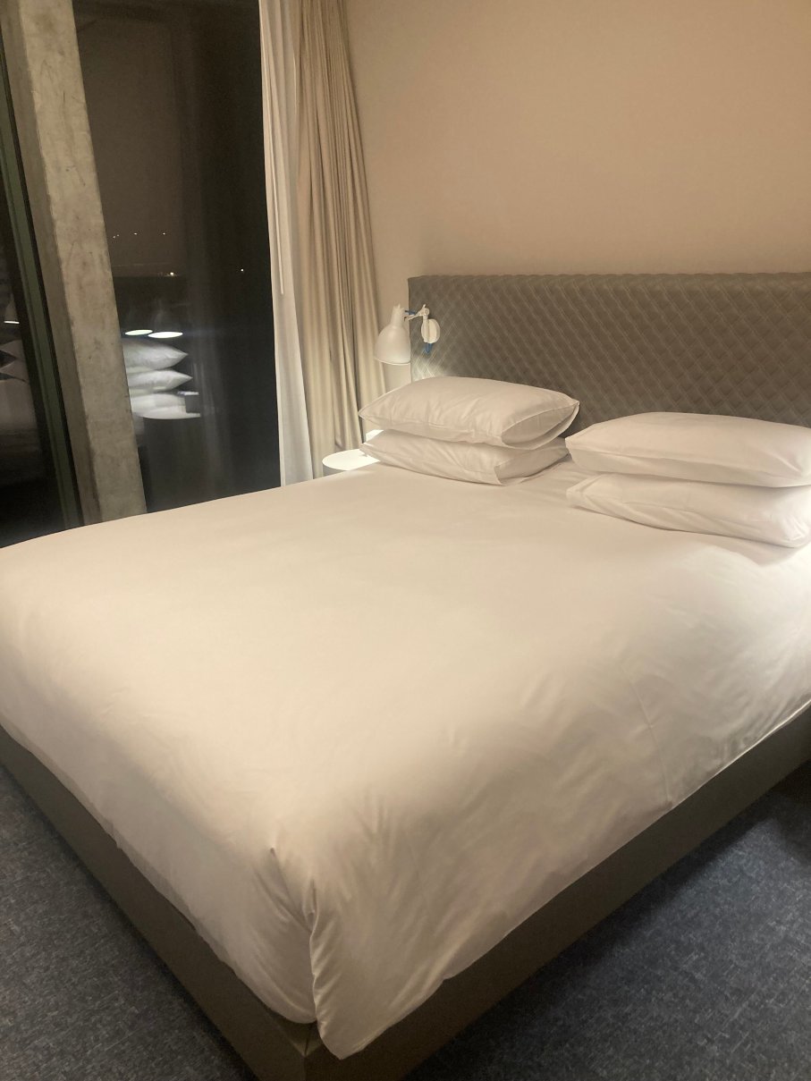 苏黎世机场环形区凯悦嘉轩酒店-客卧