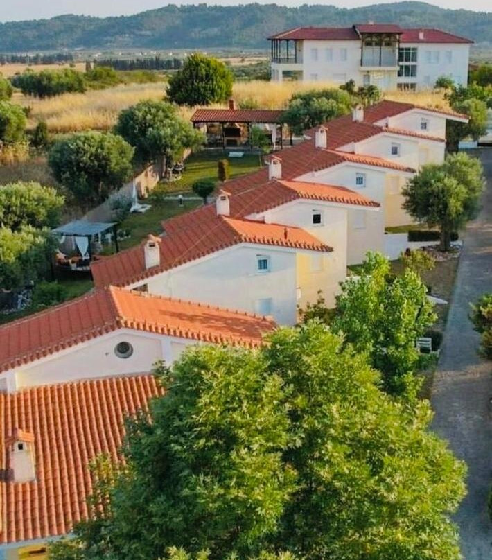 Studio Dalkidi