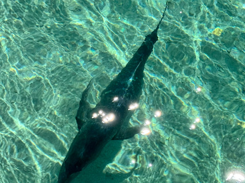 The Vaka Cruise-艾图塔基必去景点