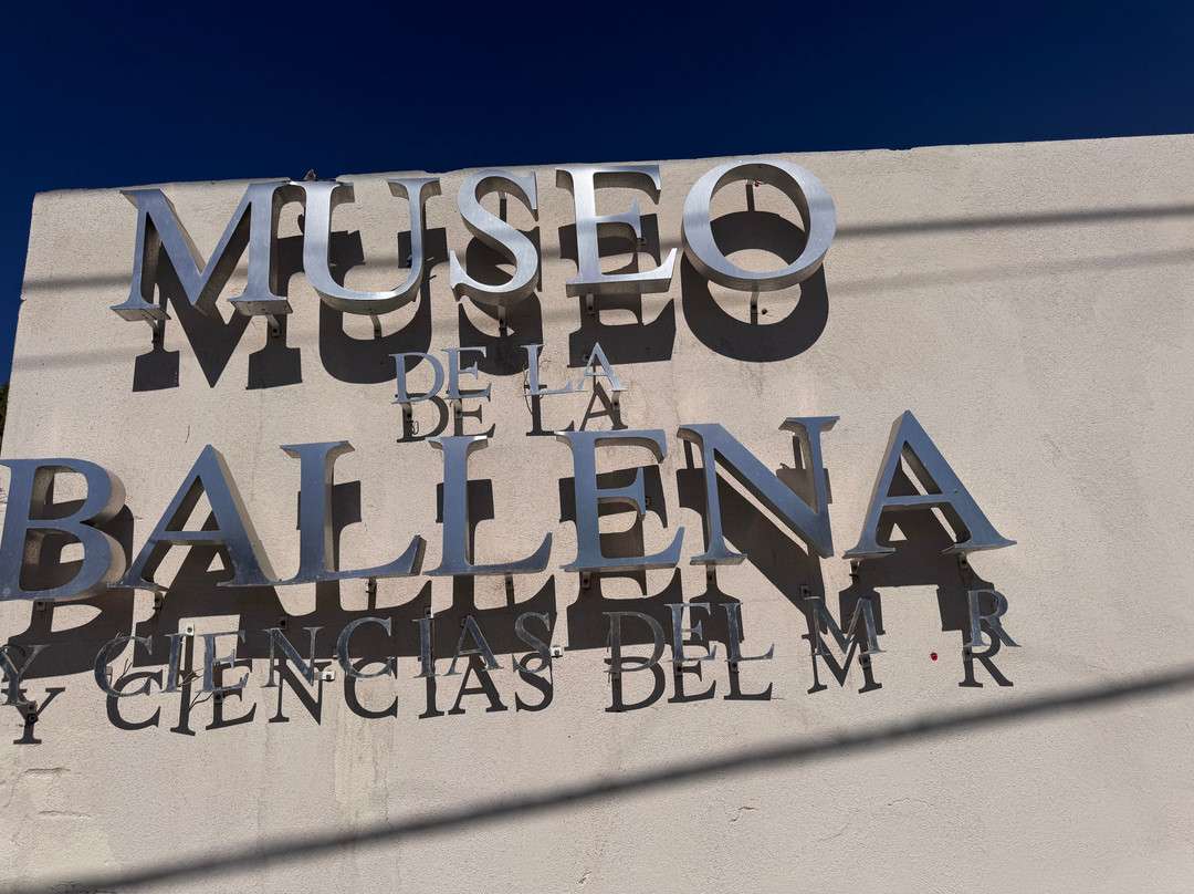 Taller De Osteología Museo De La Ballena-拉巴斯必去景点