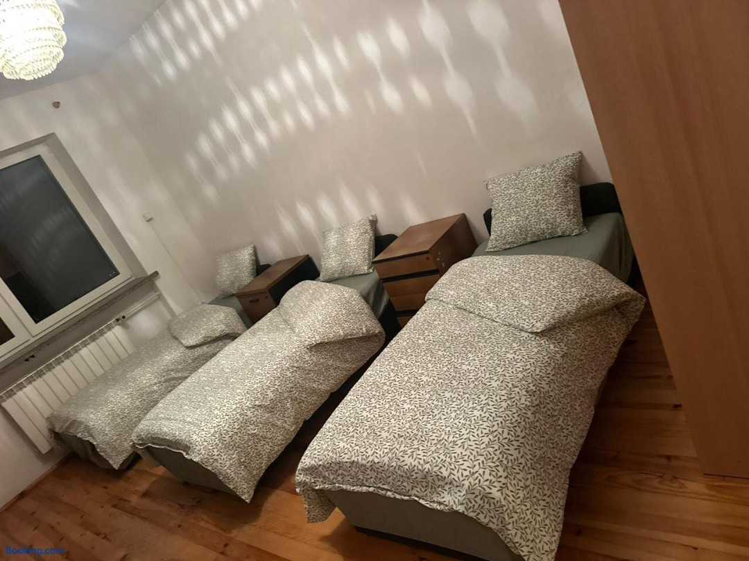 CityHalo Hostel