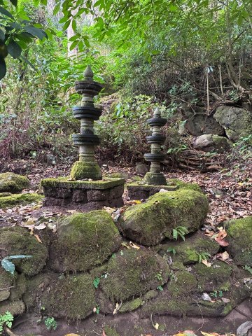 蒙纳大树酒店-浴室