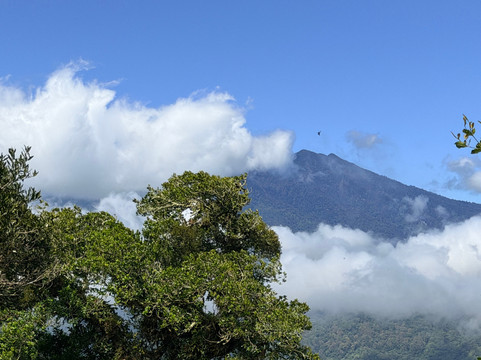 Tree Trek Boquete-波魁特必去景点