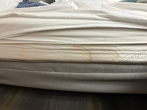 奥古斯塔西欢朋套房旅馆主图