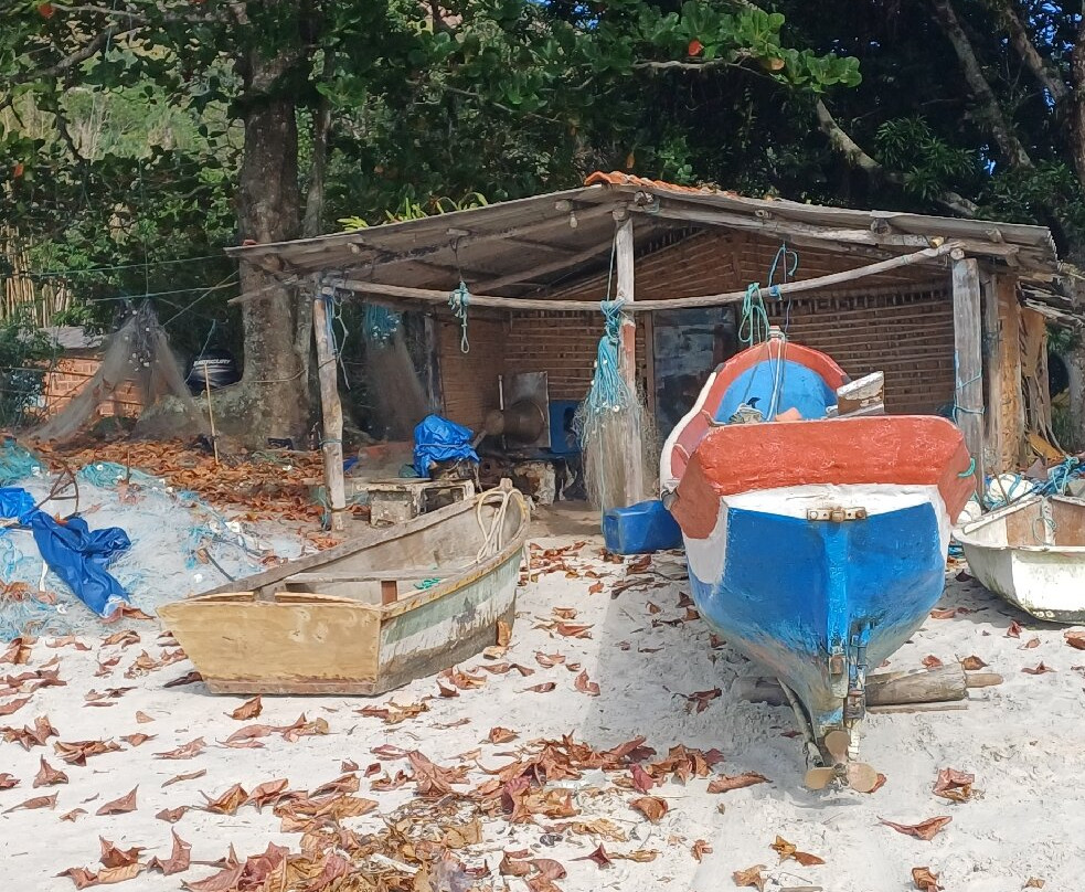 Restinga da Marambaia-曼加拉蒂巴必去景点