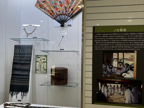 Amami Museum-奄美市必去景点