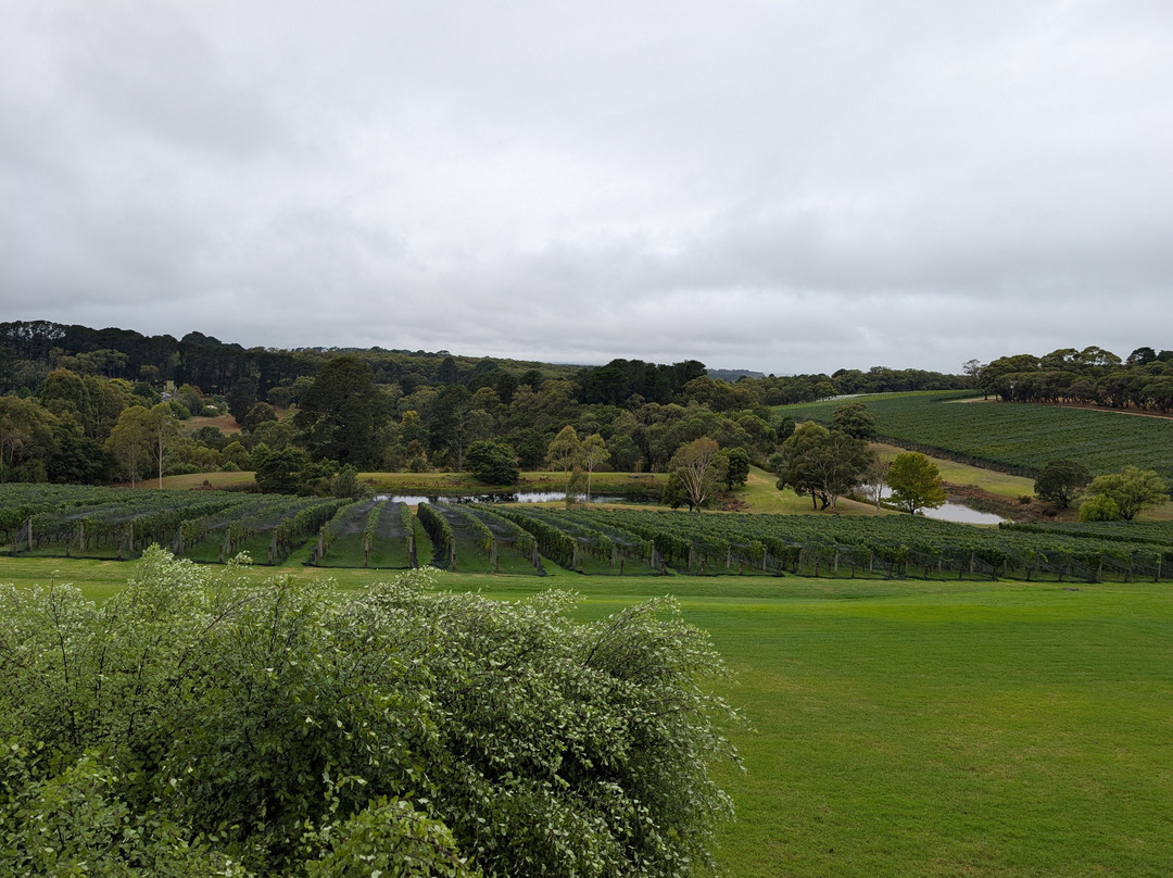 Amour of the Grape Tours-Rosebud必去景点