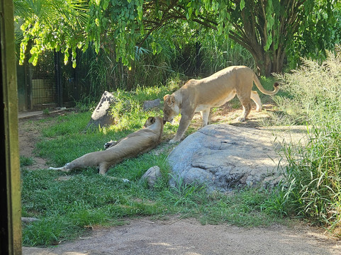 珀斯动物园-南珀斯必去景点