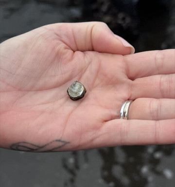 Oyster Bay Tours-科尔斯湾必去景点