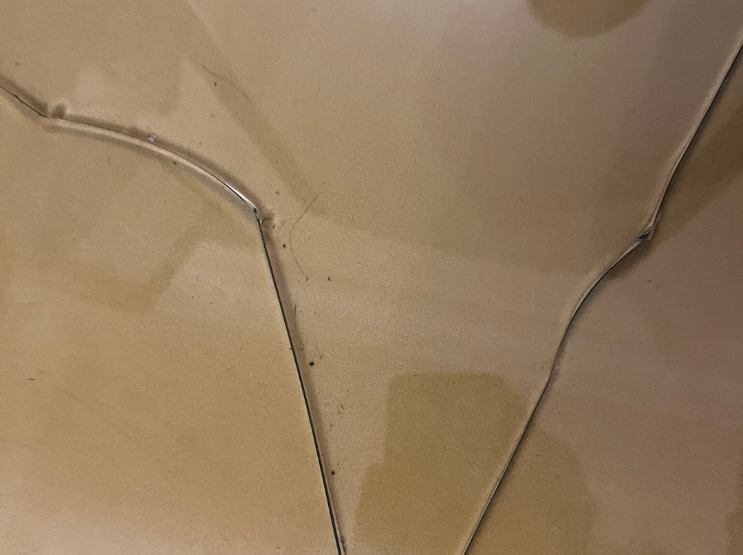 尼兰巴格宫酒店主图