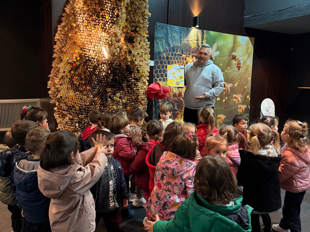 Bee Museum-诺帕克特斯必去景点