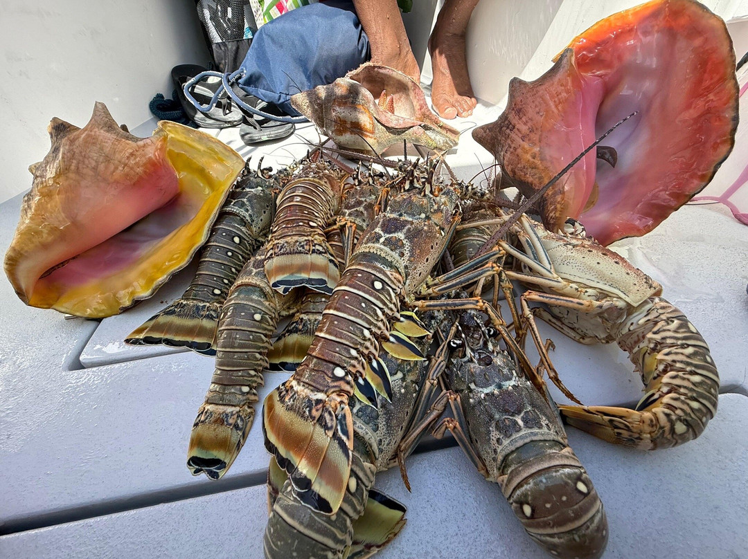 True Blue Charters | Spanish Wells Bahamas Guide-Spanish Wells必去景点