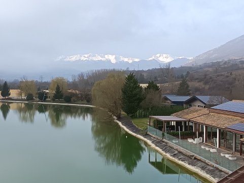 多恩路易斯酒店-官方