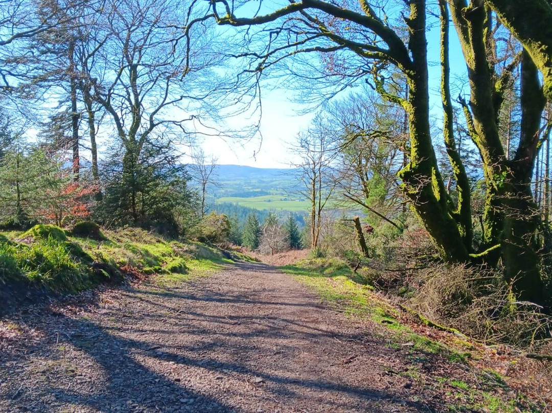 Knockmany Forest-Augher必去景点