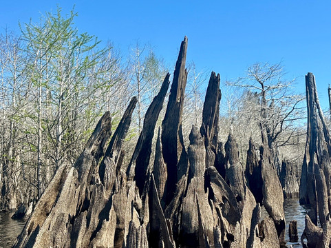 Off The Map Expeditions - Tours-Wewahitchka必去景点