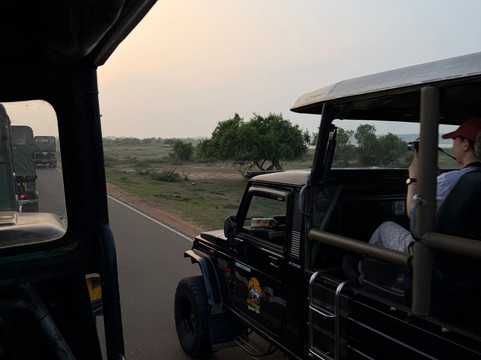 Southern Wild Safari-蒂瑟默哈拉默必去景点