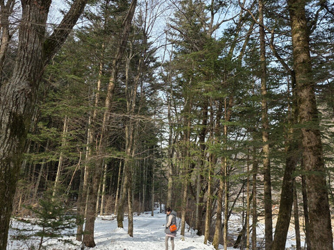 Woljeongsa Temple-平昌郡必去景点