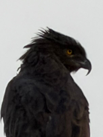 K Safaris-坎帕拉必去景点