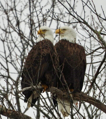 Connecticut River Museum-Essex必去景点