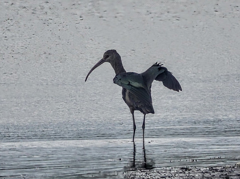 Senderos Tours-La Paloma必去景点