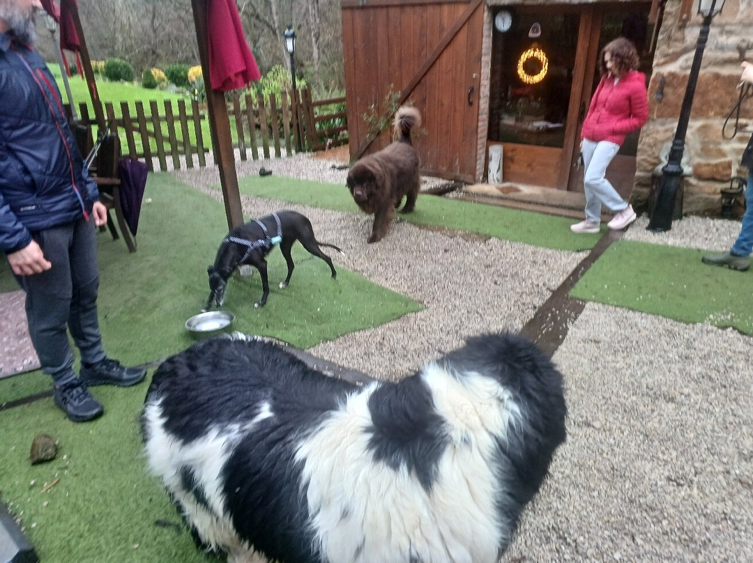Posada PetFriendly El Molino de Cantabria B&B