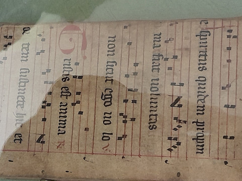 Historische Bibliothek im Ludwig-Wilhelm-Gymnasium-拉施塔特必去景点