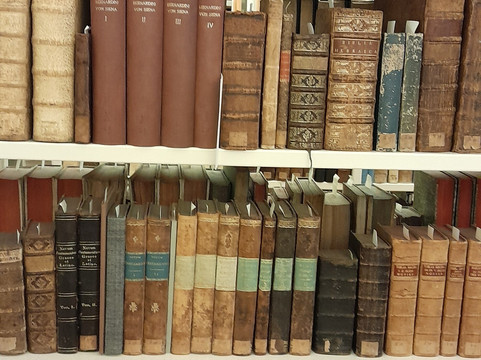 Historische Bibliothek im Ludwig-Wilhelm-Gymnasium-拉施塔特必去景点