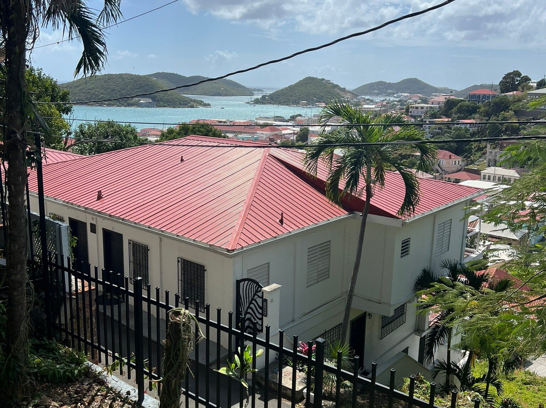 绿鬣蜥酒店主图