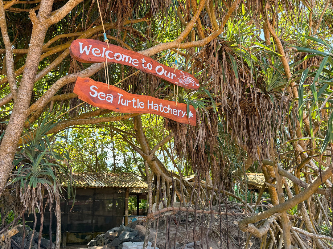 Galbokka Sea Turtle Hatchery-科斯戈德必去景点