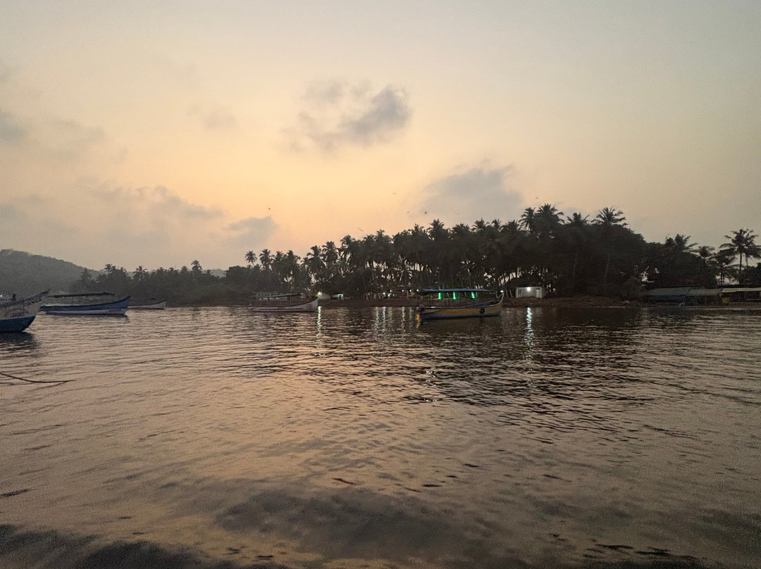Dolphin Boat Trips Adventures North Goa-Nerul必去景点