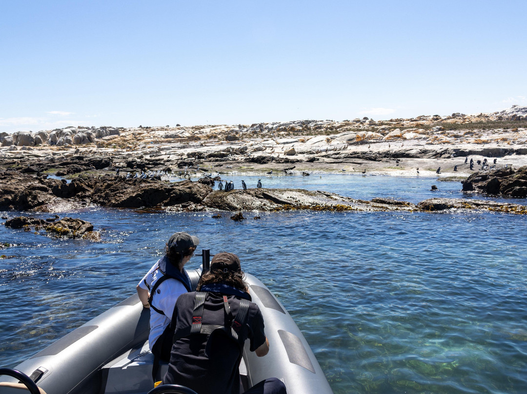 Cape Coast Expeditions-Yzerfontein必去景点