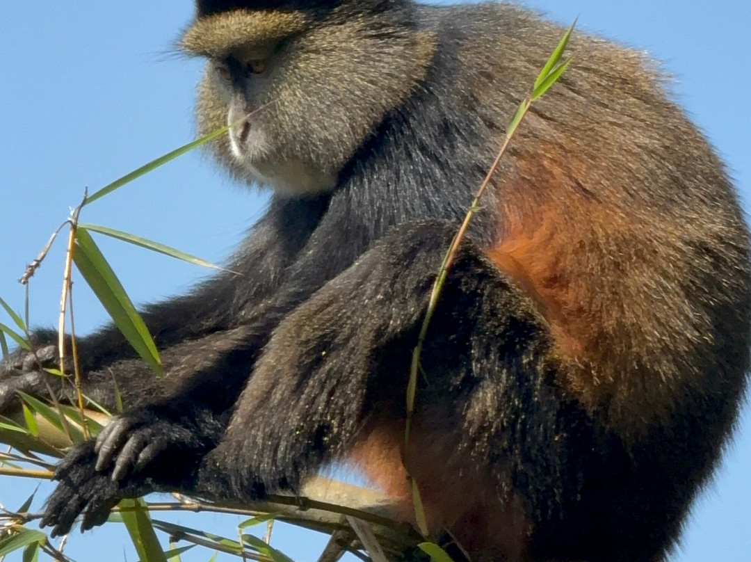 Deks Safaris & Tours Ltd-坎帕拉必去景点