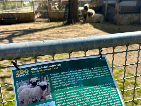 Zoo Debrecen-德布勒森必去景点