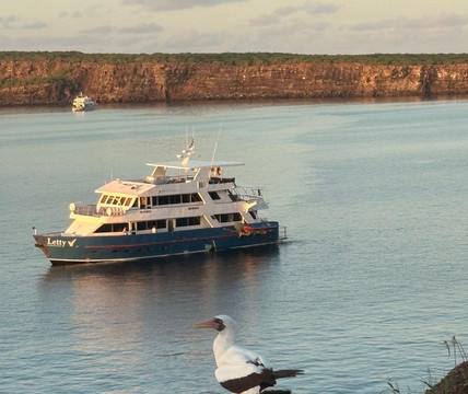 Galapagos Natural Life Tour Operator-加拉帕戈斯群岛必去景点