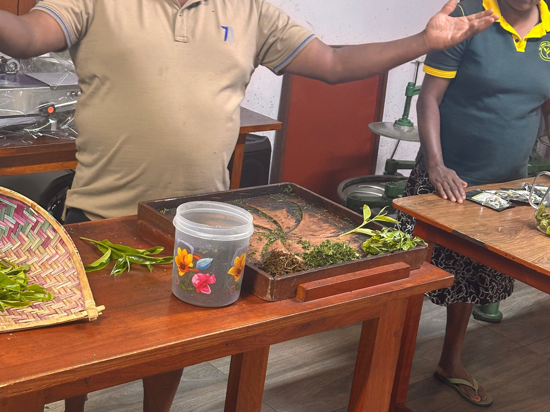 Ella Organic Tea Garden-Heeloya必去景点