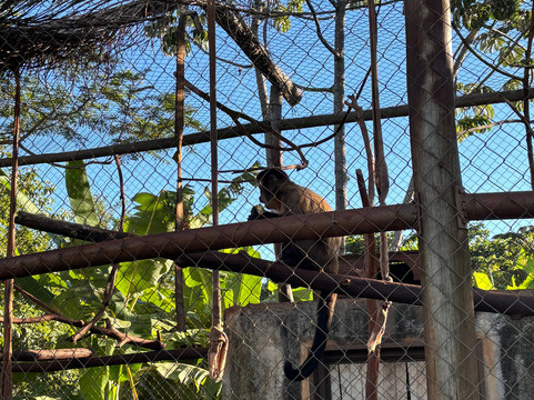 Bio Park-博尼图必去景点