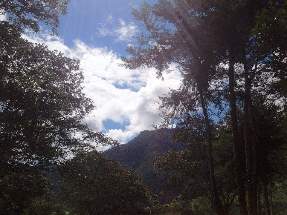Illariy Tampu Ecoalbergue Oxapampa