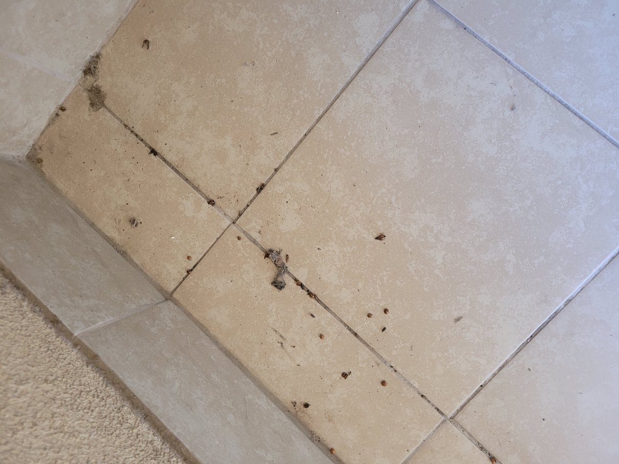 冈贝里尔城美洲最佳价值套房酒店-度假村/酒店