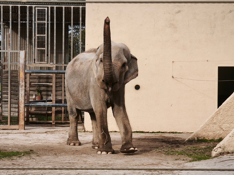 Safari Zoo Mallorca-萨可马必去景点