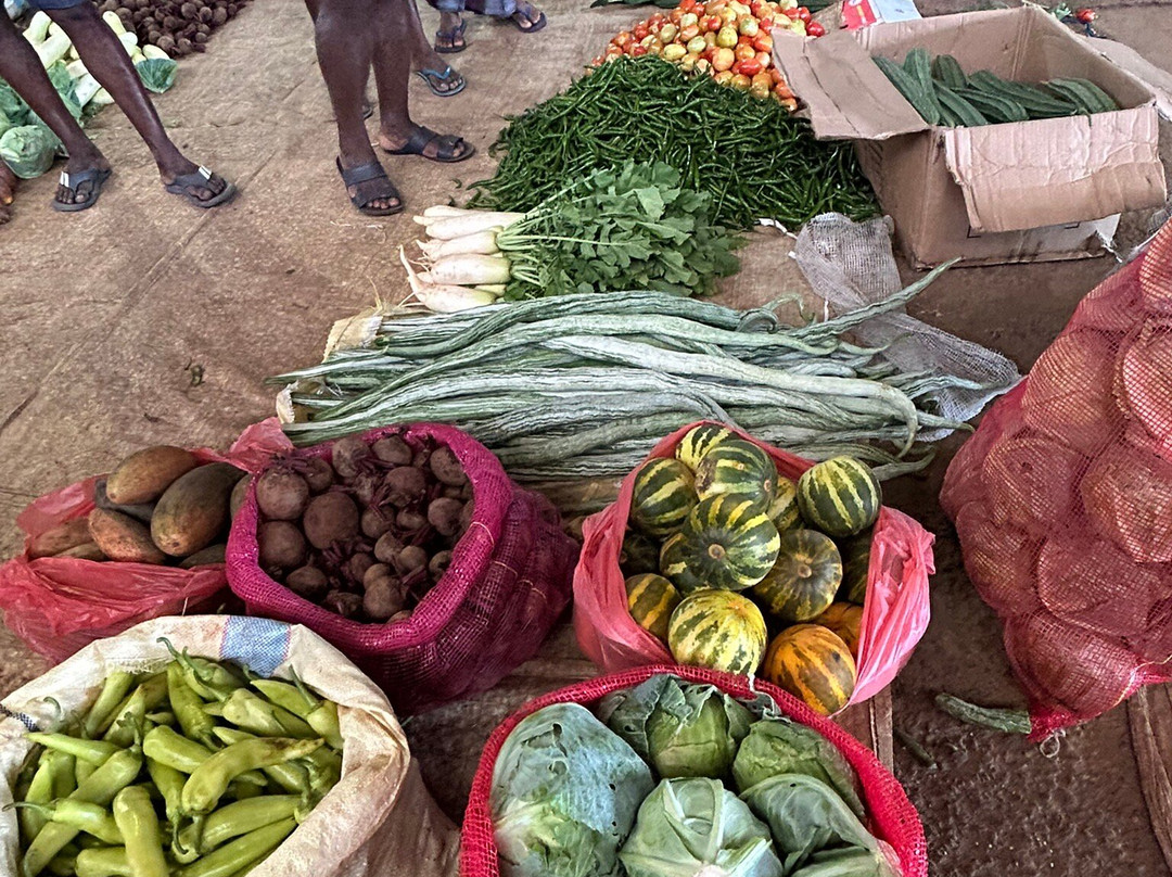 Dambulla Dedicated Economic Centre-丹布拉必去景点