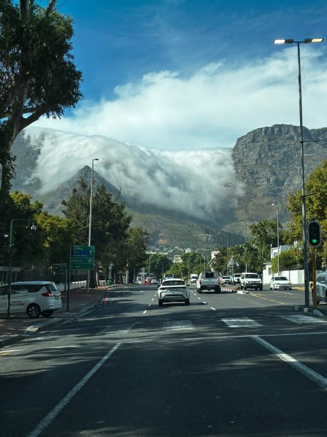 开普敦凯悦酒店-官方